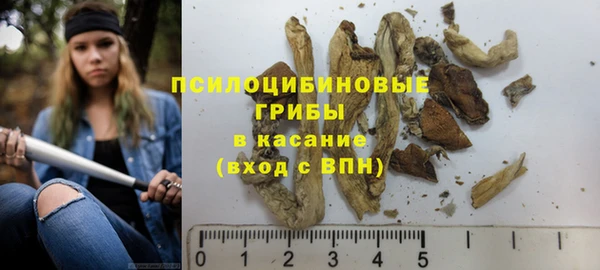 ГАЛЛЮЦИНОГЕННЫЕ ГРИБЫ Нягань