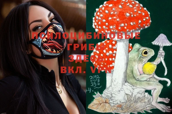кристаллы Няндома