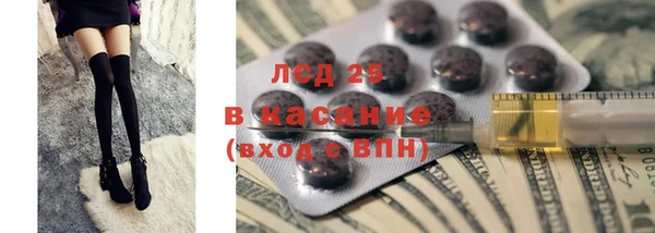 стафф Осинники