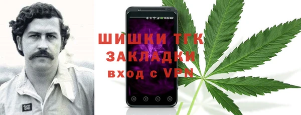 ГАЛЛЮЦИНОГЕННЫЕ ГРИБЫ Нягань