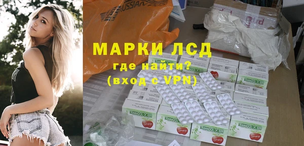 стафф Осинники