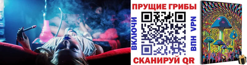 Купить закладки  Ступино  Галлюциногенные грибы прущие грибы 